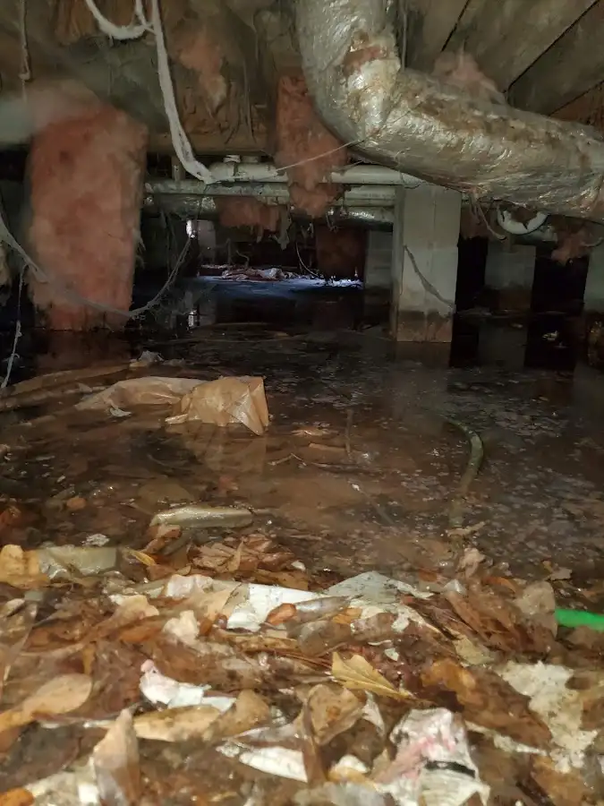 Crawl space flood assessment for Leak Detection & Repair in Vincennes