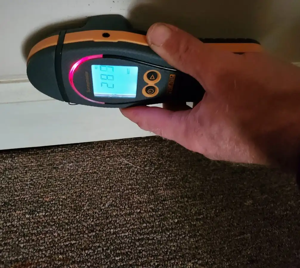Moisture detection at baseboard during Sewage Cleanup & Sanitation in Vincennes